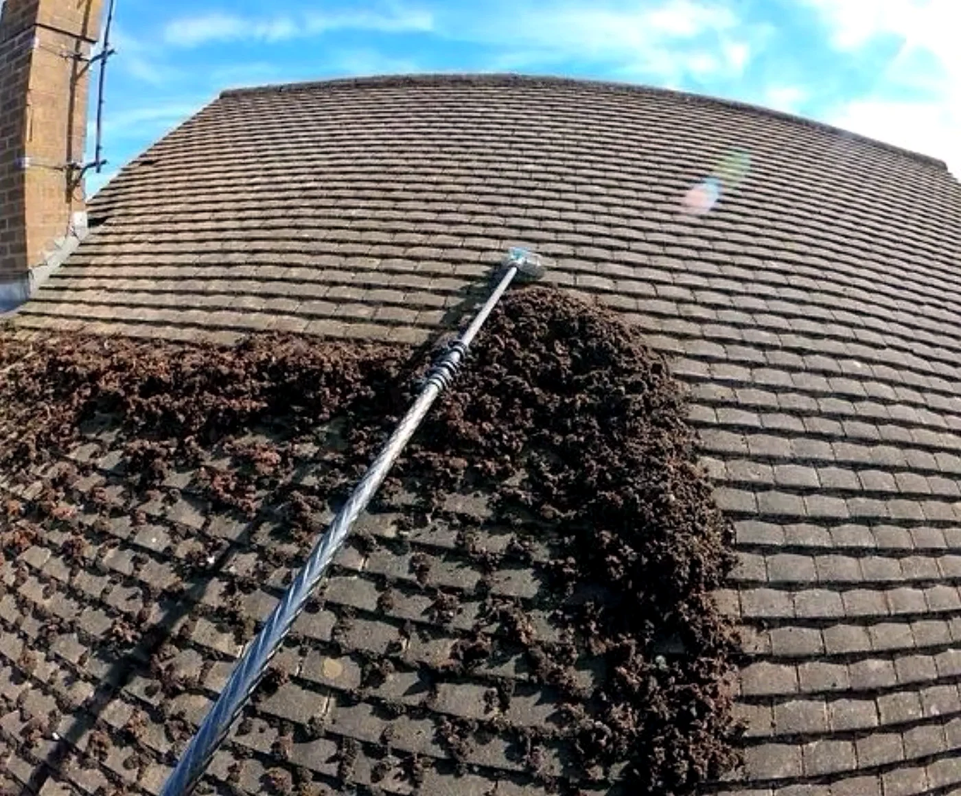 Toiture couverte de feuilles mortes, perche de nettoyage posée avant l'hiver